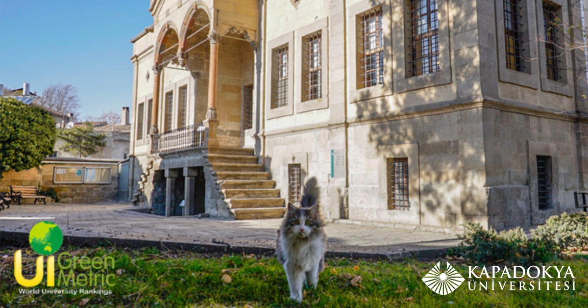 Üniversitemizin çevreci çalışmalarının uluslararası başarısı yükseliyor